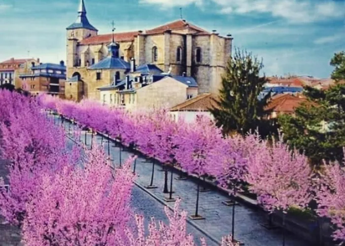 아파트 El Rincon La Roca *